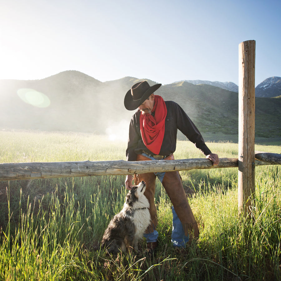 Sustainability & Responsible Sourcing