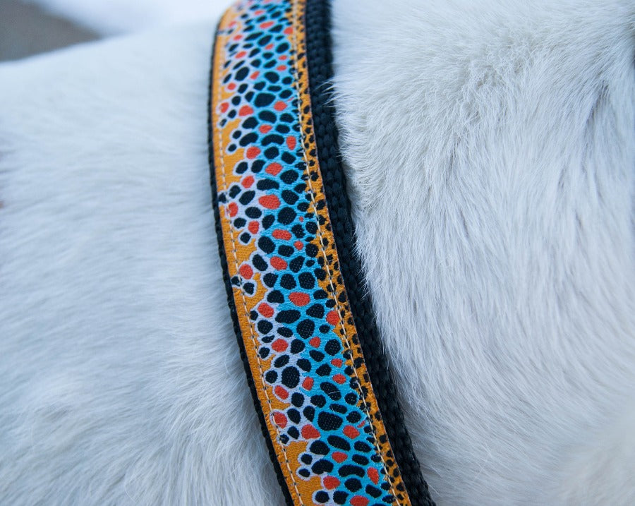 Dog Collar - Brown Trout