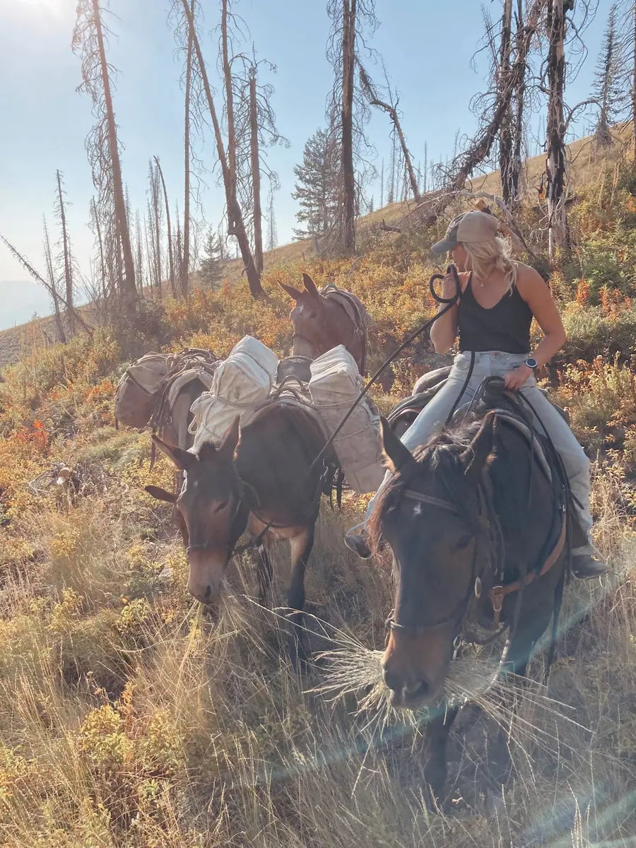 megan edwards bob marshall wilderness