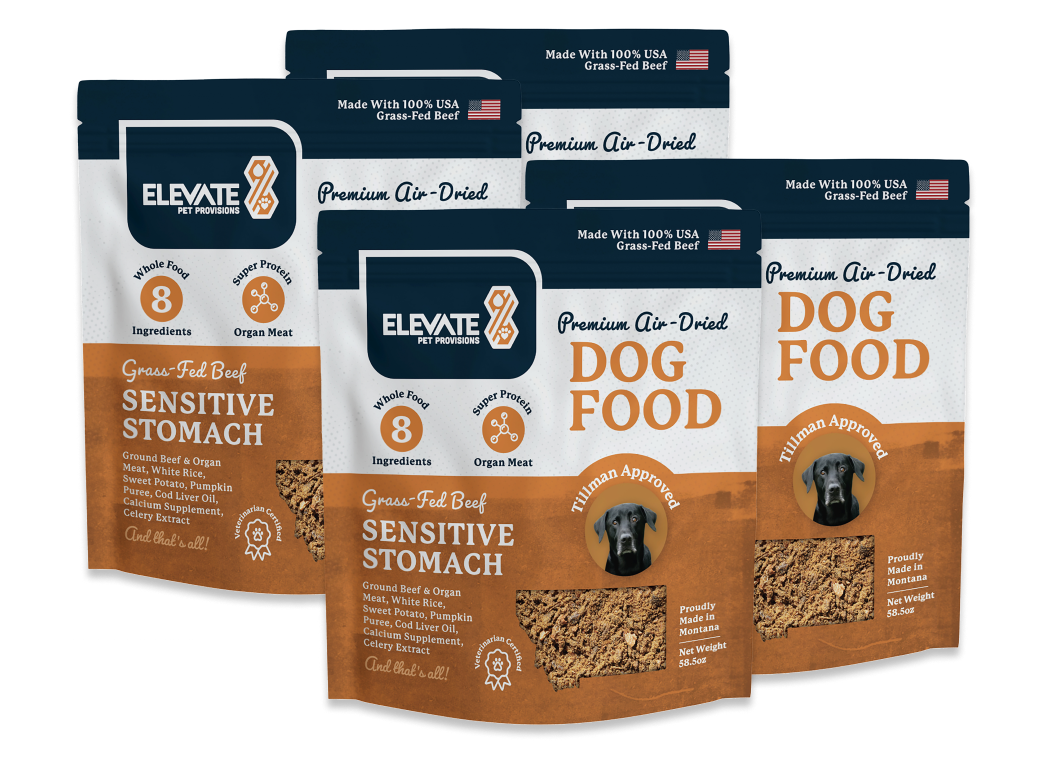 Sensitive Stomach Beef Recipe Dog Food - 4 Bags