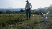 Fishpond - Salty Dog Collar