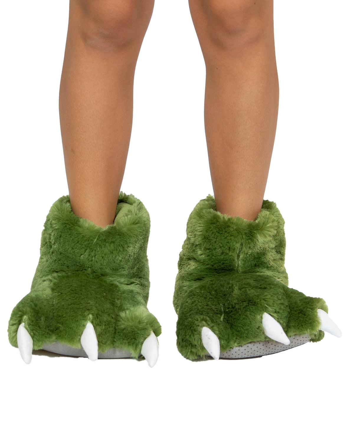 Dino Paw Slippers
