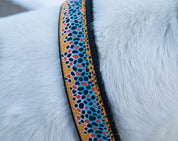 Dog Collar - Brown Trout