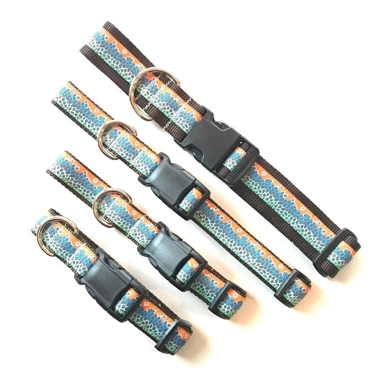 Dog Collar - Rainbow Trout