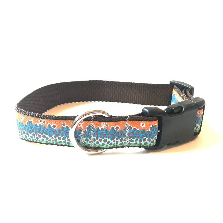 Dog Collar - Rainbow Trout